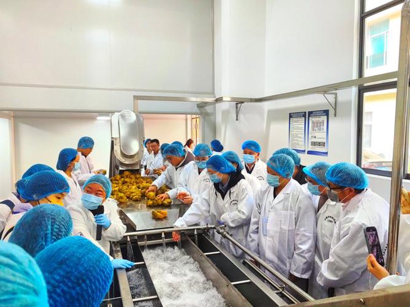食品OEM选购指南：如何高效选择适合的代加工伙伴
